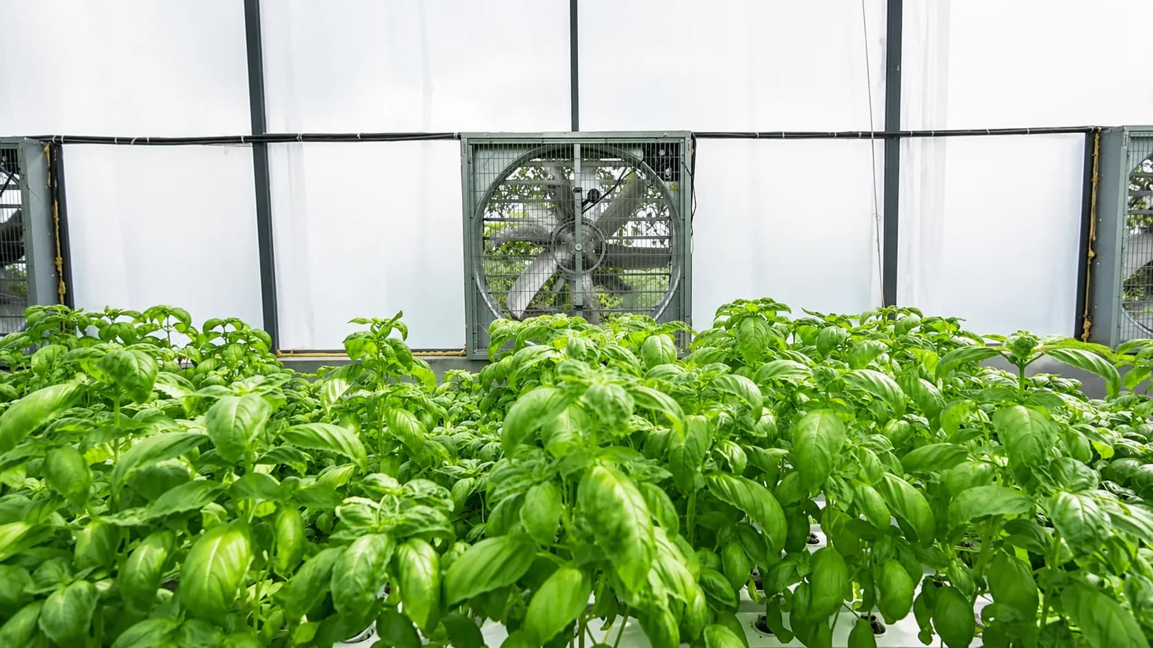 Ufarms farm automation deployment